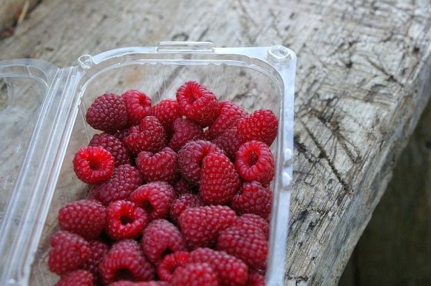 Pericolul din recipientele de plastic. Cât timp le putem folosi.