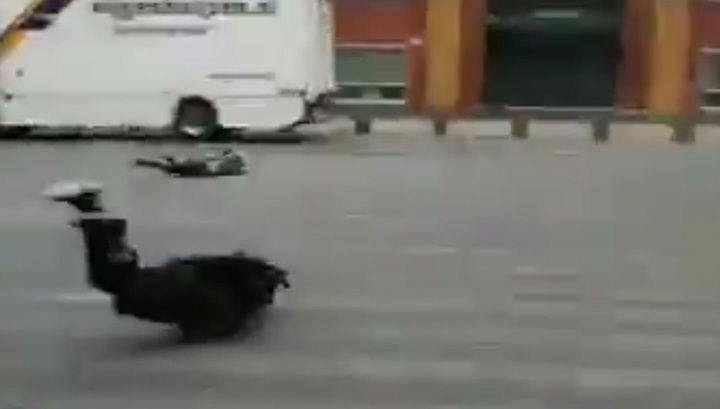 Жизнь в Европе оказалась практически парализована из-за второй волны снегопадов и ураганных ветров.
