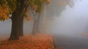 Detalii privind prognoza meteo puteți afla pe meteo.point.md.