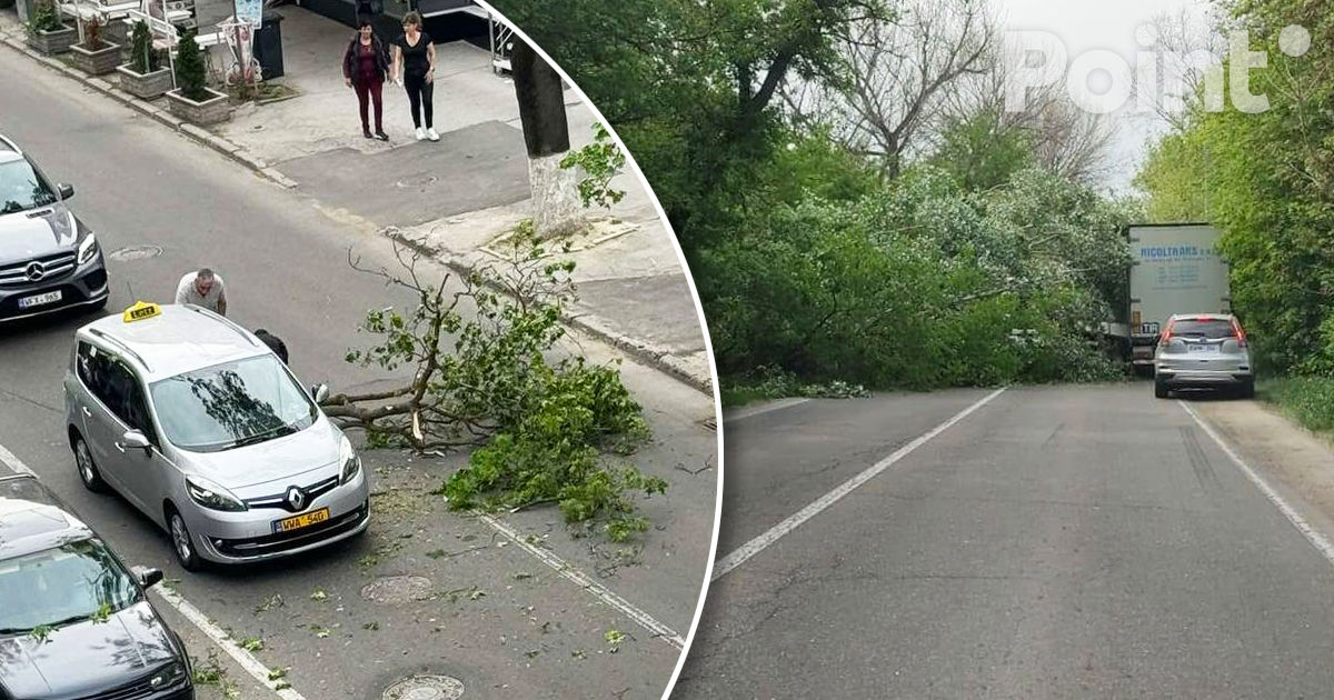 В Кишиневе из-за сильного ветра на автомобиль упала ветка.