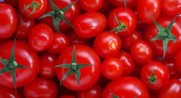 Rusia a decis să înăsprească controalele asupra produselor agricole și alimentare importate din Turcia.