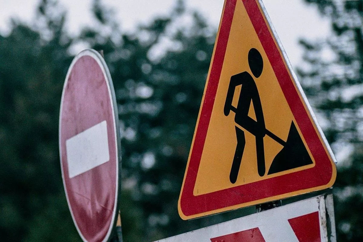 На Ботанике на две ночи перекроют движение по улице Буребиста