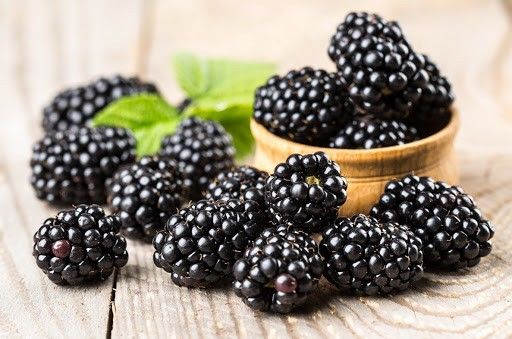 Активный экспорт поддерживает цены на ежевику на высоком уровне. Фото: east-fruit.com