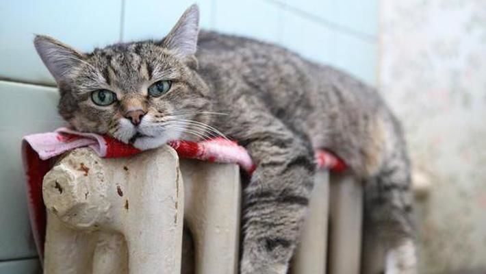 В Молдове снова похолодает, ночью ожидается до -7 градусов.