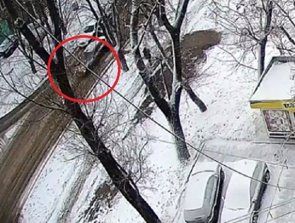 Напомним, утром 21 января произошло ДТП в столичном секторе Ботаника, в ходе которого водитель сбил девочку на пешеходном переходе. 