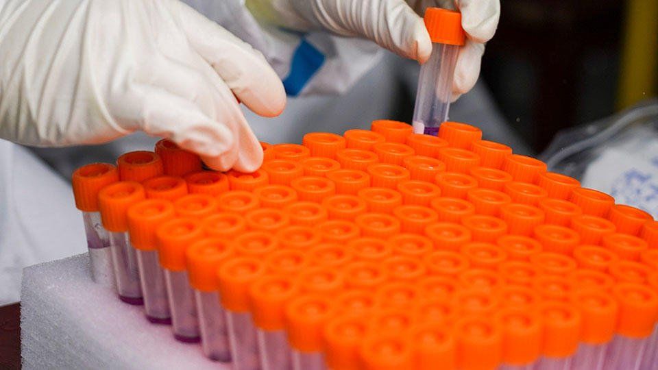 В Румынии выявлены первые случаи южноафриканского штамма коронавируса.