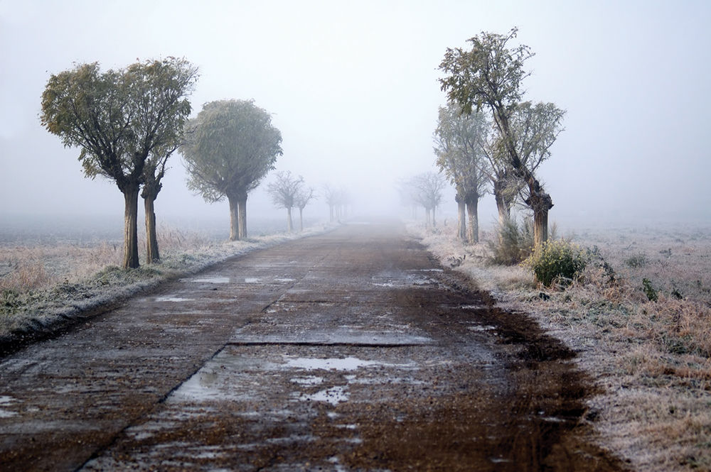 Meteorologii prezic cea mai caldă zi din decembrie. Foto: photomagazine.ro