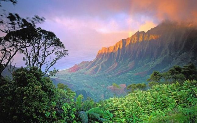 Pe insula Kauai (Hawaii) au fost filmate în jur de 60 de filme, printre care „Jurassic Park“. 