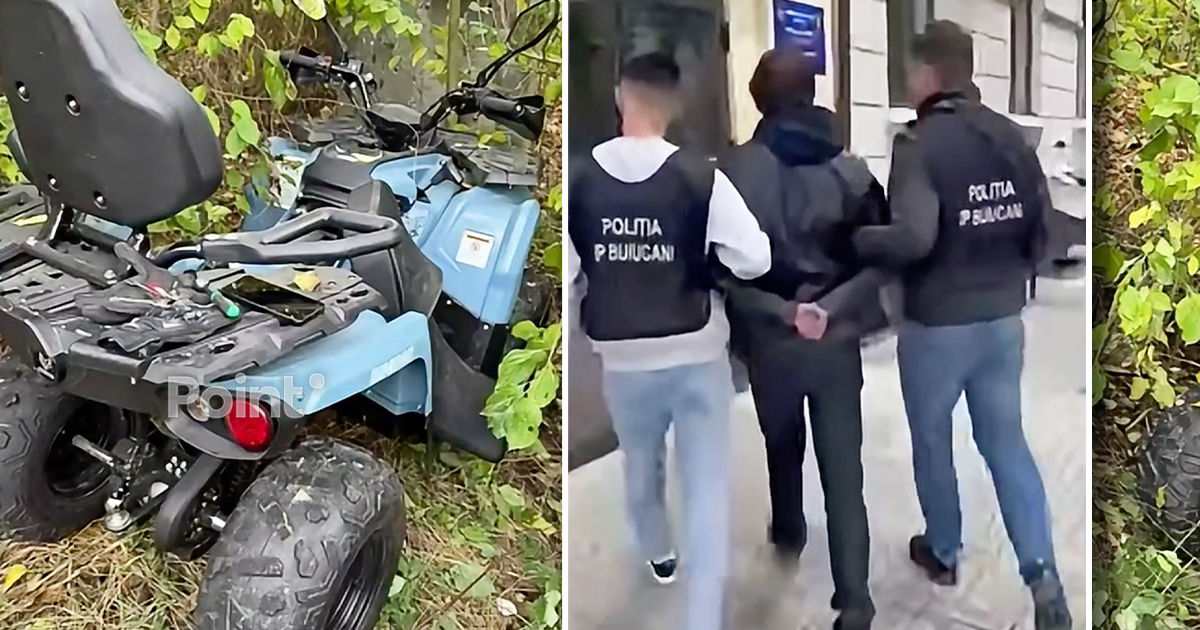 В Кишиневе подозреваемый в краже квадроциклов был задержан в лесополосе.