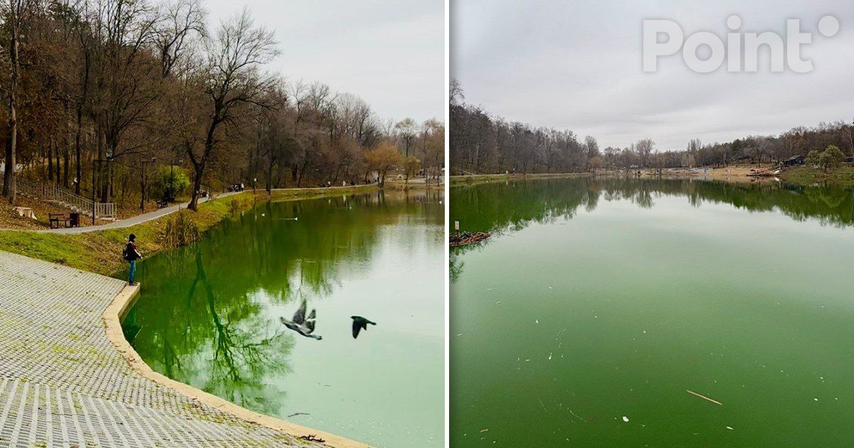 Apa lacului din sectorul Râșcani a devenit verde: Autoritățile afirmă că nu este periculos.