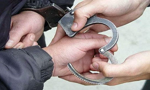 По факту кражи возбуждено уголовное дело, злоумышленники задержаны.