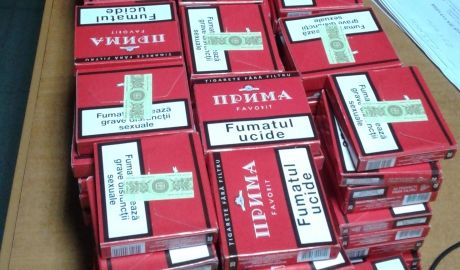 Doi câini de la posturile vamale Sculeni şi Otaci au depistat aproape 10 000 de ţigarete. Foto: customs.gov.md