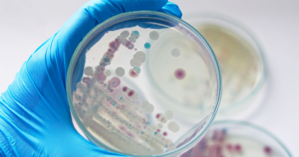 Bacterii rezistente la toate antibioticele moderne, descoperite în Chile.