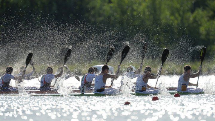 Чемпионат Европы по гребле на байдарках и каноэ пройдет с 8 по 10 июня в Белграде.