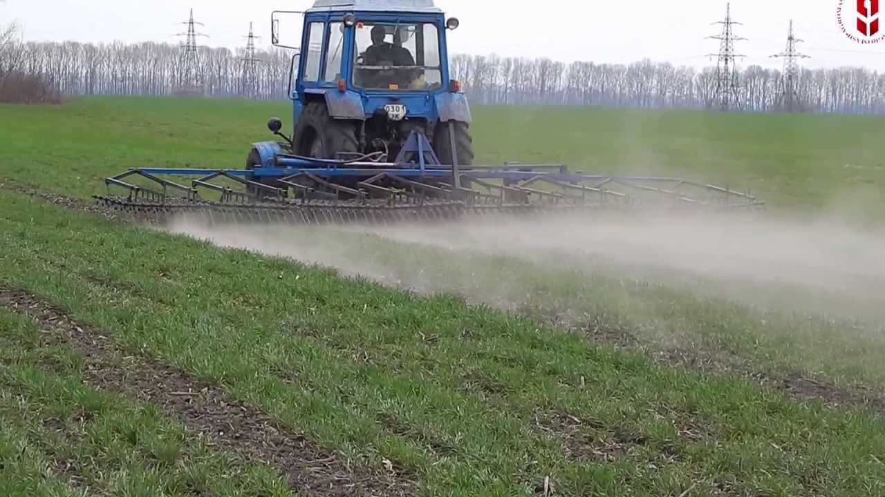 Необходимо предпринять меры по гарантированию рынка и цен на товары. Фото: youtube.com.