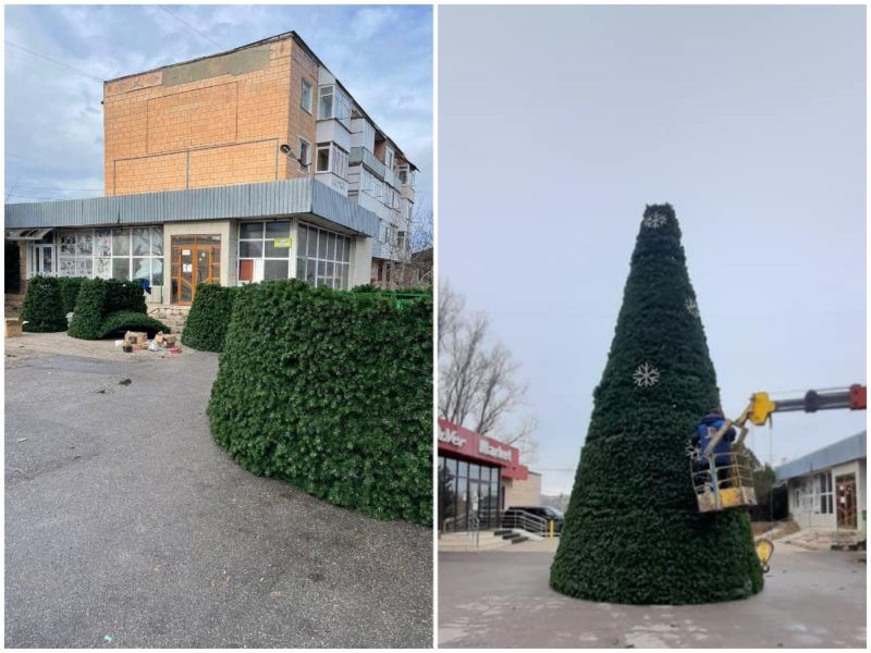В городе Рышканы установили собственную новогоднюю ёлку.