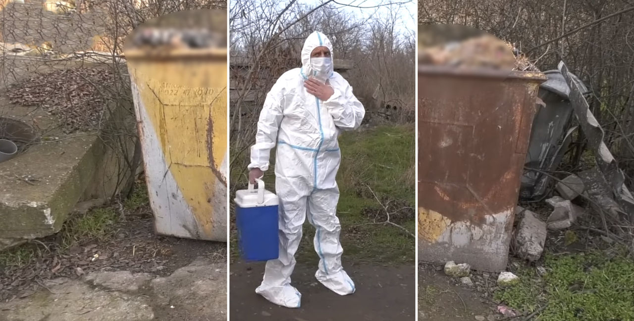 Tomberoanele azilului de câini din Căușeni, pline cu cadavre de animale.