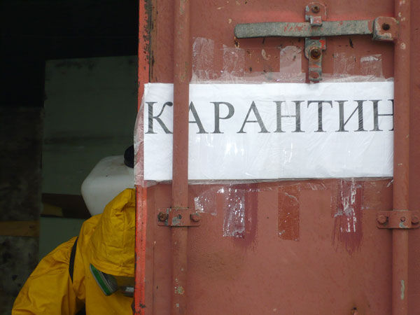 В период карантина ограничены действия по забою животных и их выпасу. Фото: tvrain.ru