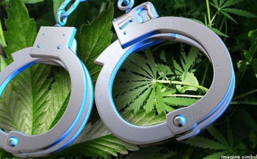 Oamenii legii l-au reținut pe fiul parlamentarului și pe o altă persoană fiind suspectați pentru trafic cu substanțe narcotice.