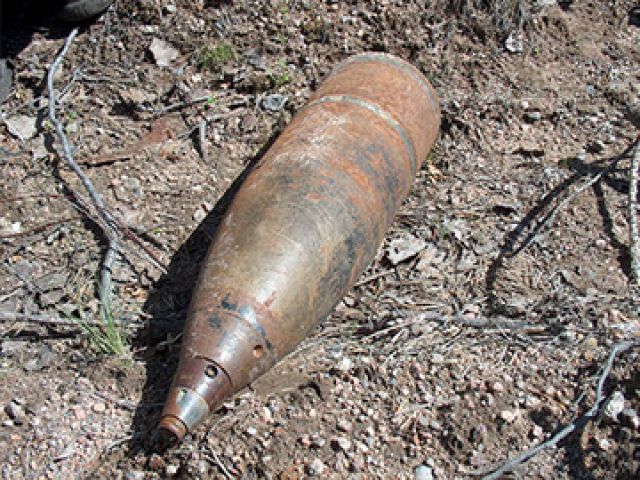 В Киеве в мусорном баке нашли боевой фугас.