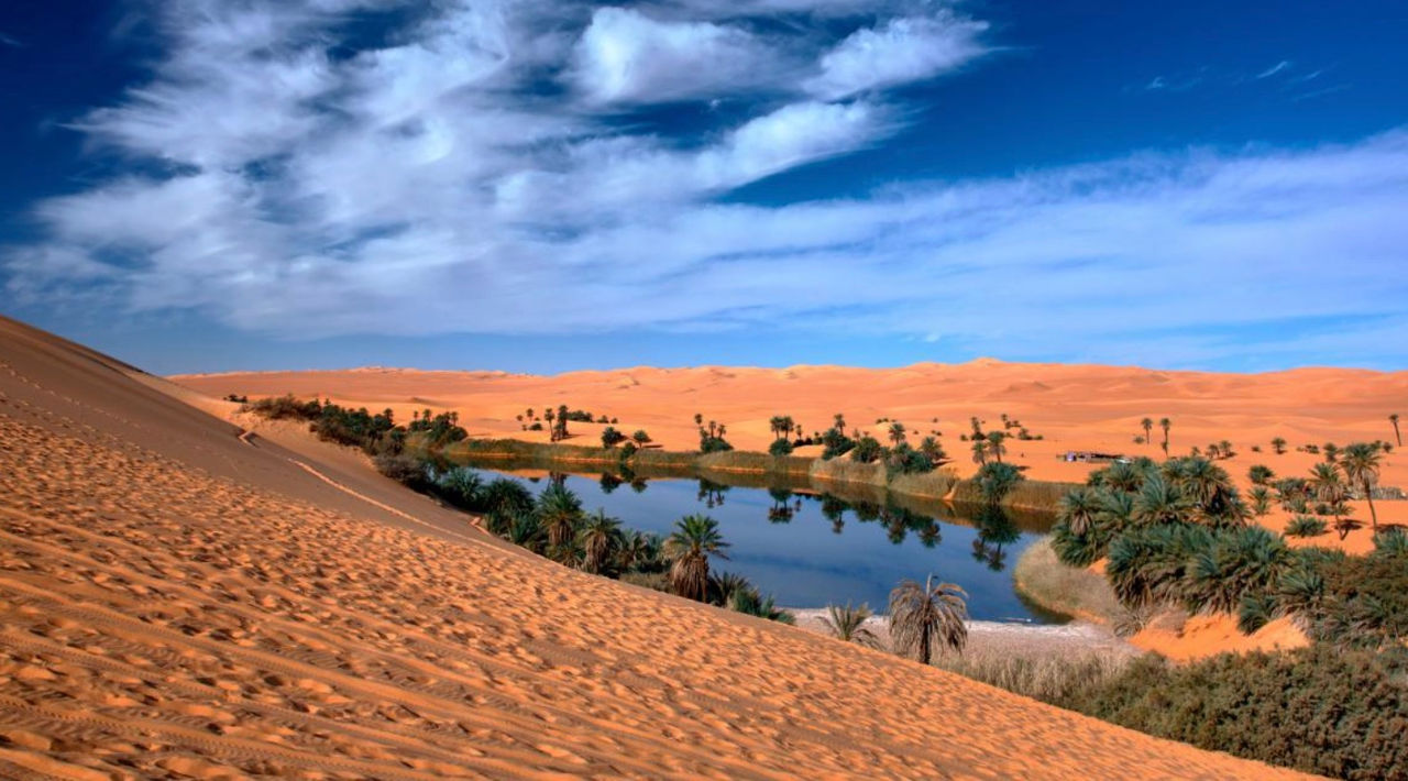 Sahara va înverzi până la sfârșitul secolului: Climatologii prevăd o eră ploioasă în Africa.