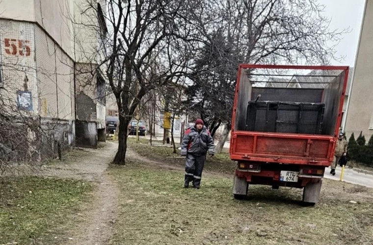 Scandal la Ungheni: O intervenție pentru câinii fără stăpân s-a încheiat cu apel la 112.