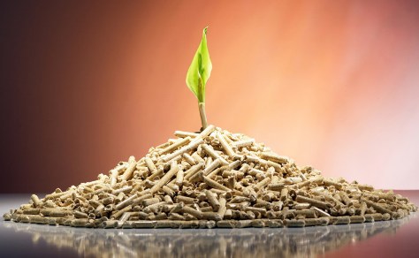 Специалисты говорят, что биомасса - топливо будущего. Фото: energycluster.com.ua