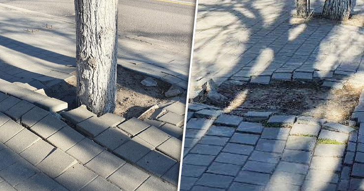 На Рышкановке возобновлен ремонт тротуаров. Коллаж: Point.md