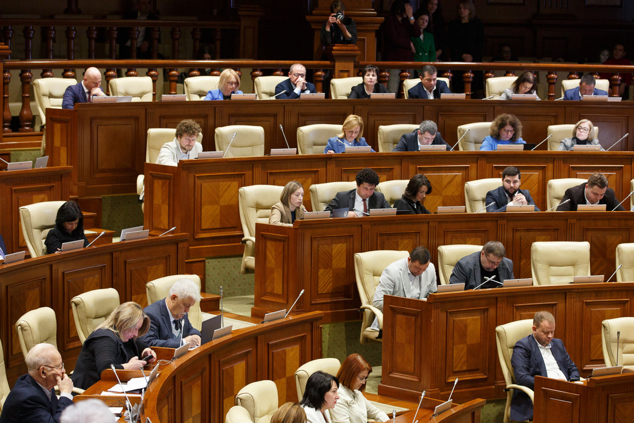 Адриана Бэлуцела в парламенте может заменить Алина Дандара.