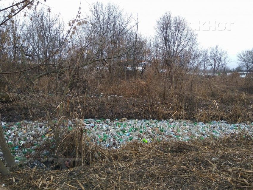 Mii de sticle de plastic, anvelope de cauciuc și alte deșeuri au inundat porțiunea de teren din preajma râului Bîc. 
