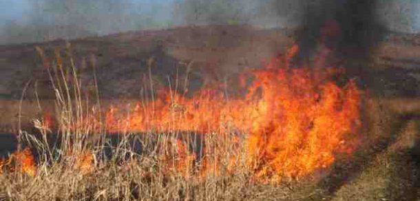 Pompierii au stins 53 de incendii de vegetație în ultimele 24 de ore. Foto: realitatea.md