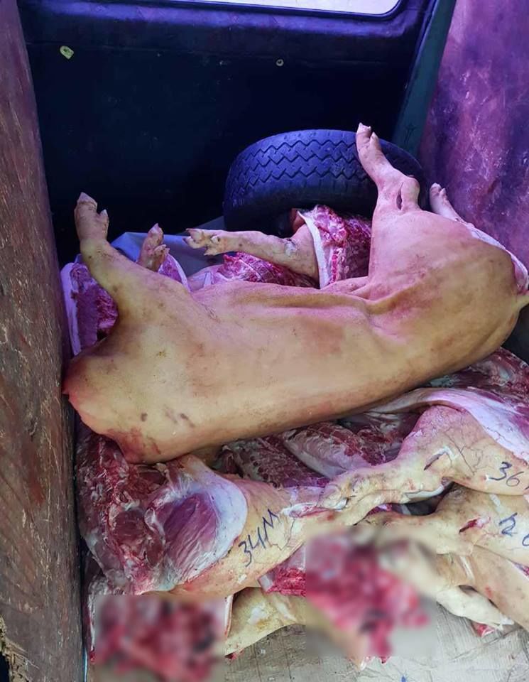 Carne de porc cu termen expirat urma să ajungă în piețele din Capitală