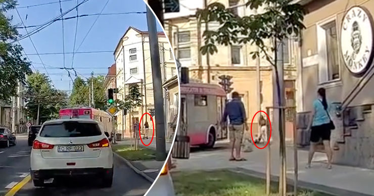 RTEC проводит проверку после того, как троллейбус сбил девушку на электросамокате.