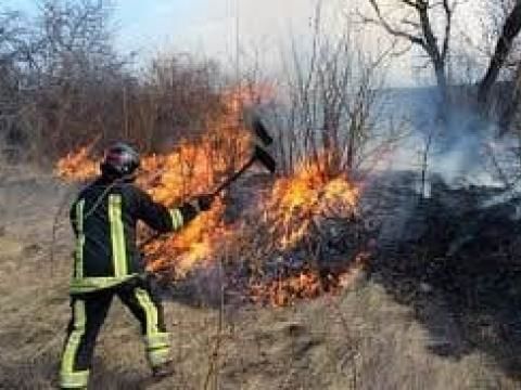За сутки пожарные Молдовы потушили более полусотни очагов горящей растительности.