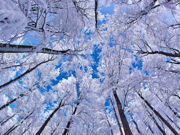 16 февраля в Молдове будет облачно. Ветер северный, слабый до умеренного.