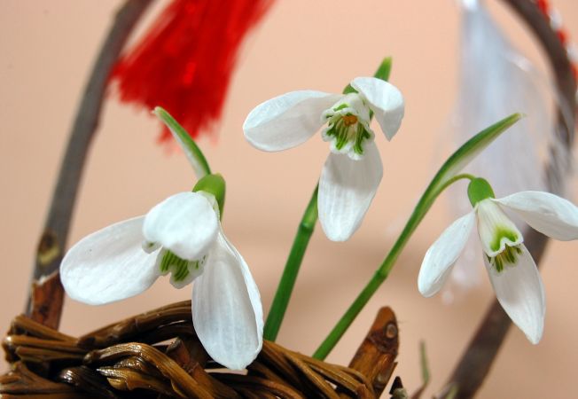 Vreme caldă în următoarele zile. Foto: stiri.acasa.ro