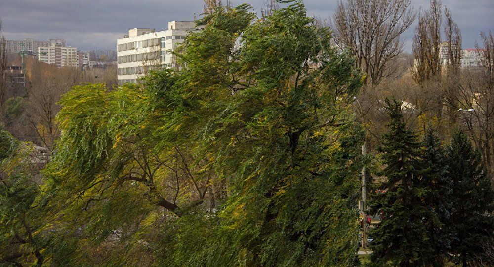 Meteorologii au emis, vineri dimineața, cod galben de vânt puternic pe întreg teritoriul țării, inclusiv în stânga Nistrului.