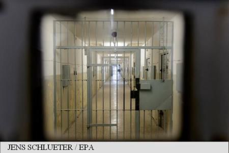 Închisoare cu executare pentru două adolescente care au torturat animale. 
