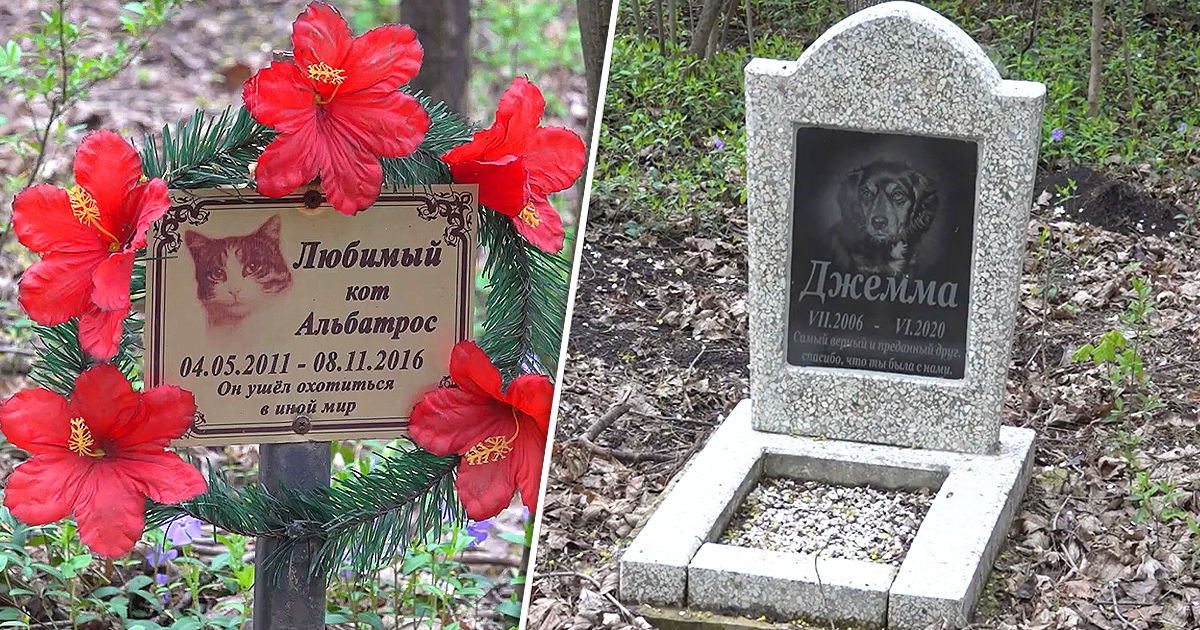 В Бельцах есть кладбище для домашних животных. Коллаж: Point.md