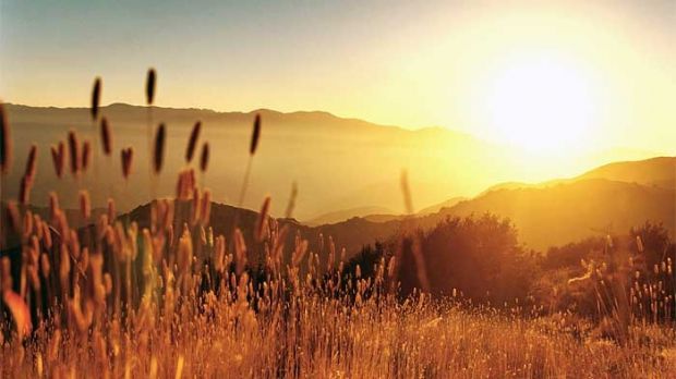 Vremea caniculară continuă: Temperaturi de până la +38 de grade Celsius. Foto: Romania TV