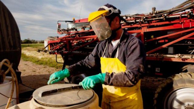 Peste 400 de tone de pesticide vechi, vor fi nimicite până la sfârşitul acestei veri. Foto: prime.md