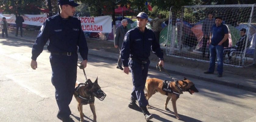 Un chinolog de la INP a salvat de la înec un copil de 9 ani.