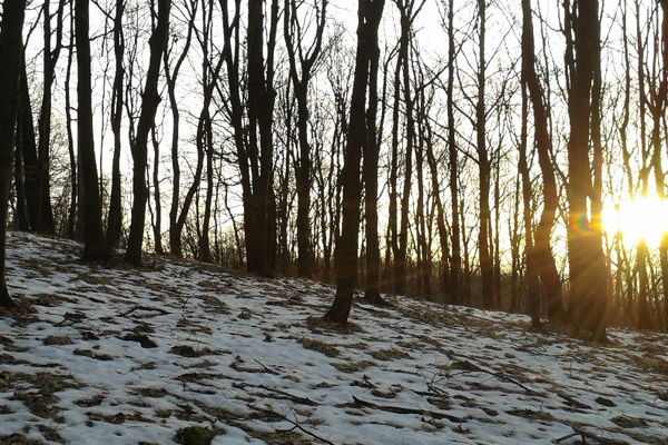 Vremea se încălzeşte treptat, iar în câteva zile temperaturile vor ajunge până la +15 grade Celsius, în regiunile din sud.