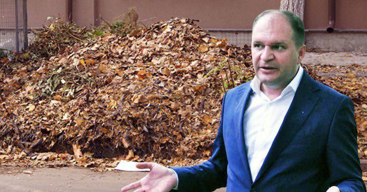 Ион Чебан дал муниципальным службам неделю, чтобы убрать листву. Фото: Point.md
