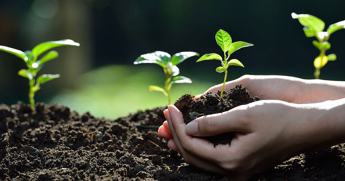 În Moldova va fi constituit Oficiul Horticol.