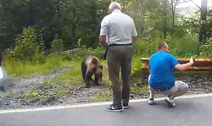 Происходящее снял на видео очевидец.