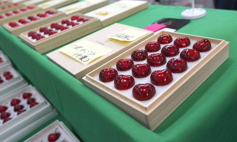 Черешня редкого сорта ушла с молотка в Японии за $3,5 тысячи.