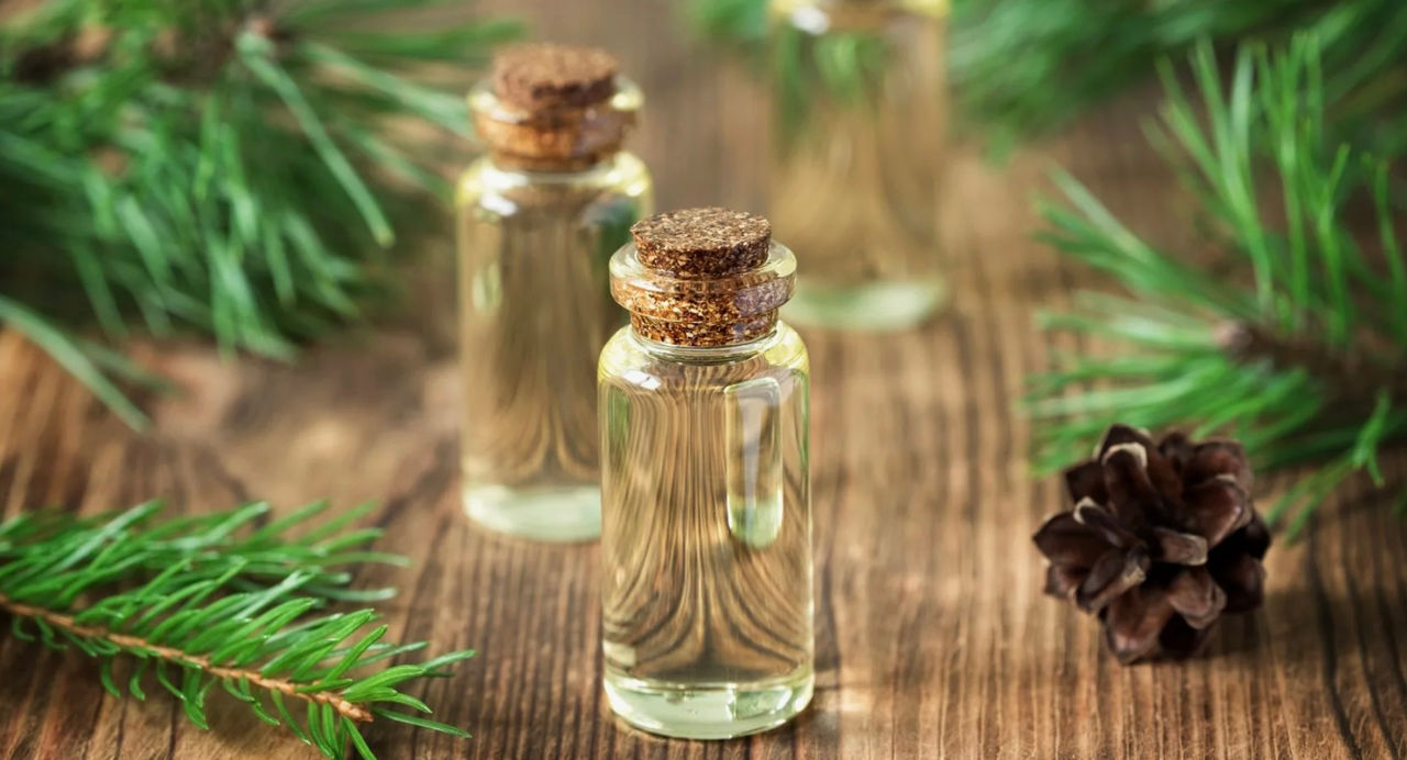Studiu: Aroma de pin îi face pe oameni fericiți.