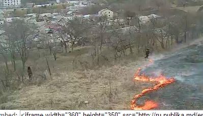 Чаще всего виновниками пожаров становились те, кто специально поджигает сухую траву или отходы, собранные в огородах.