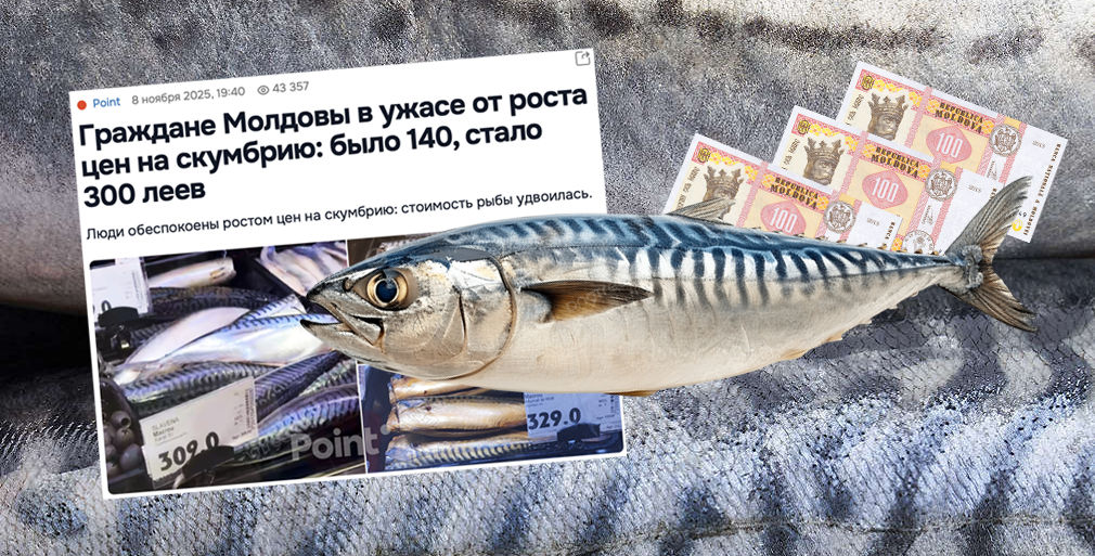 Цены на скумбрию в Молдове выросли вдвое после сокращения квот на вылов в ЕС.
